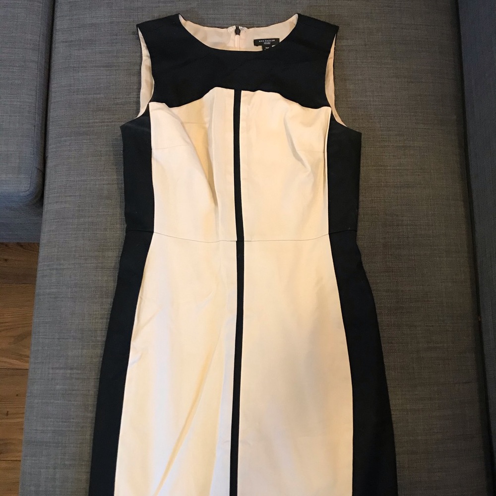 Ann Taylor Petite Natural Colorblock Shift Dress